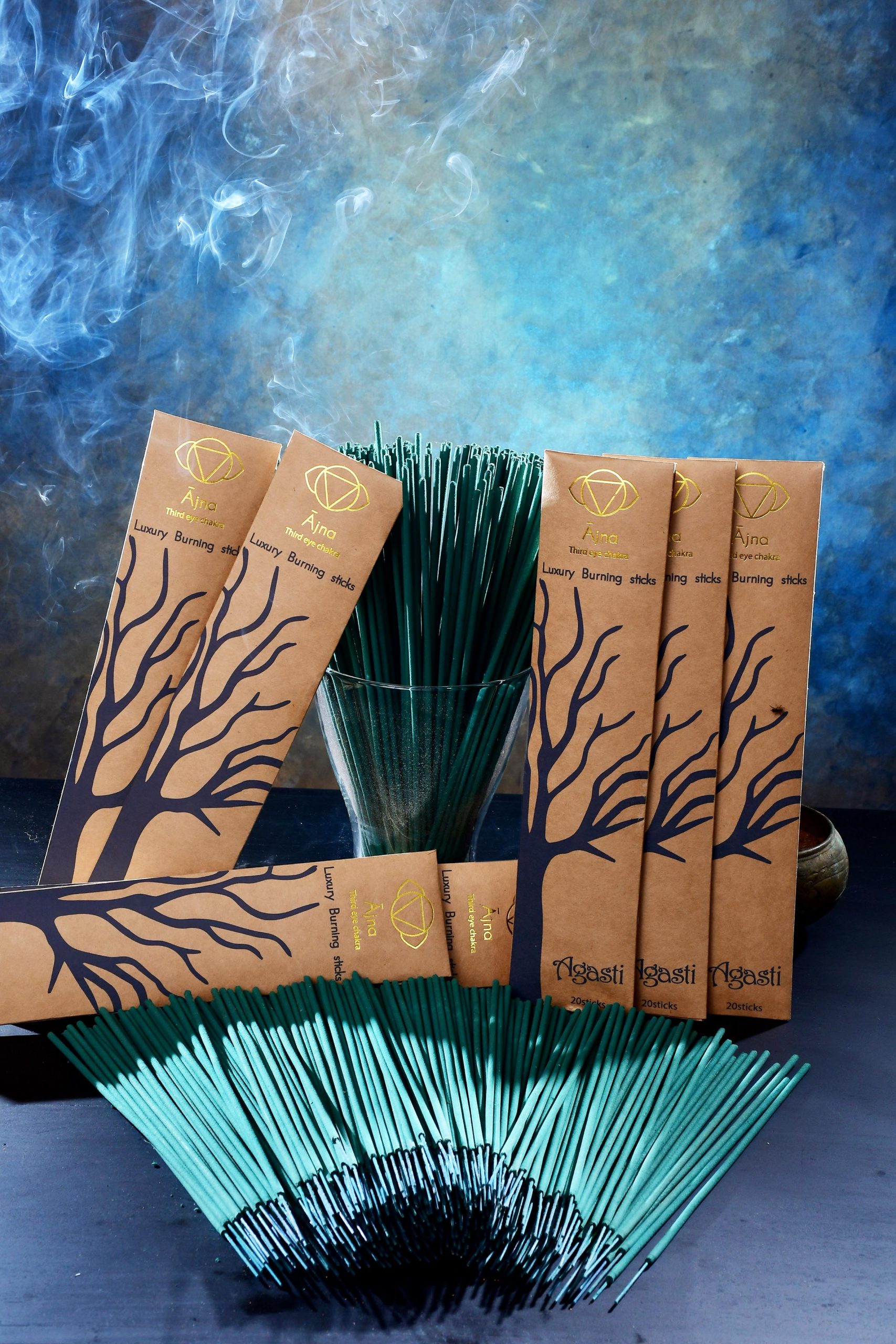 6th Chakra -Ajna - Third Eye